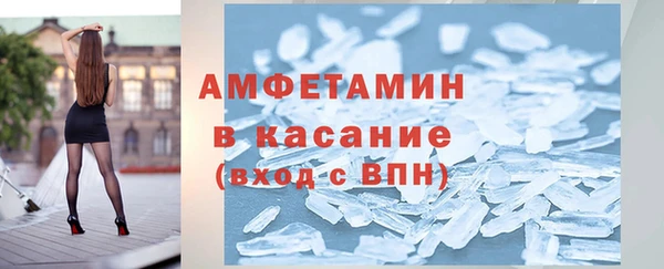 хмурый Аркадак