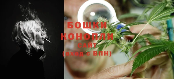 хмурый Аркадак