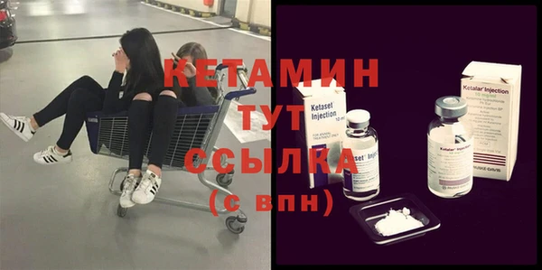хмурый Аркадак