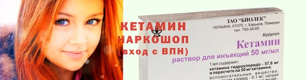 хмурый Аркадак