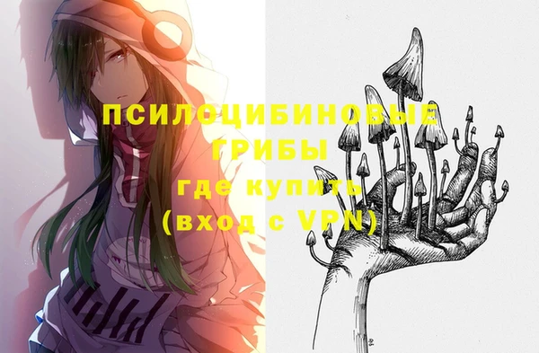 хмурый Аркадак