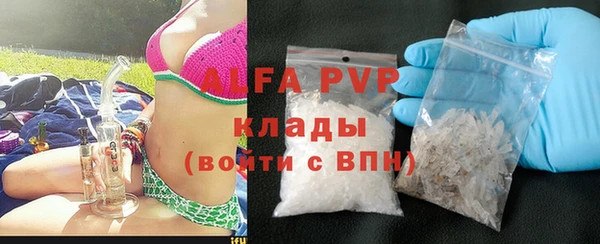 хмурый Аркадак