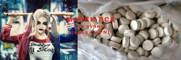 хмурый Аркадак