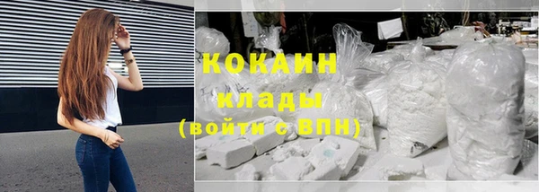 хмурый Аркадак